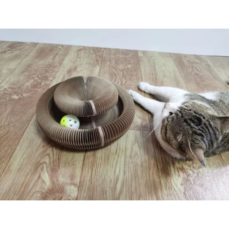 Magic Organ Cat Scratching Board-With a Toy Bell, Interactive Scratcher Cat Toy, Cat Grinding Claw Scratching Board, Foldable